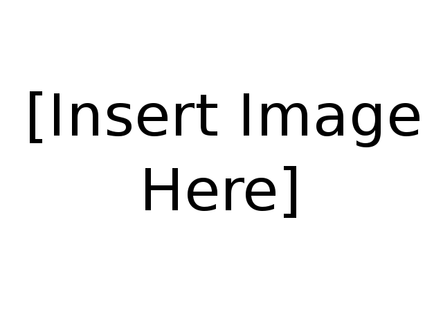 insert_image_here.png