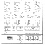 dec-clw-3.gif
