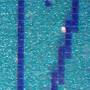 pc042969a.jpg